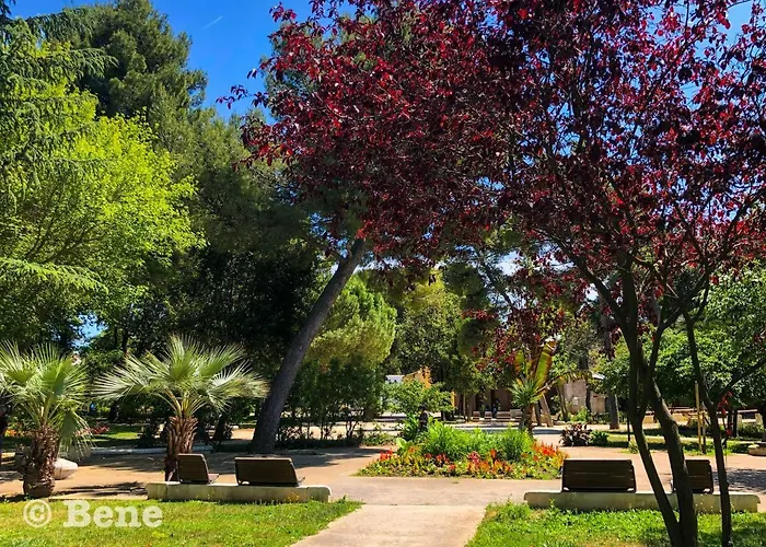 Alcôve à Les Bains 2 étoiles Appartement Balaruc-les-Bains